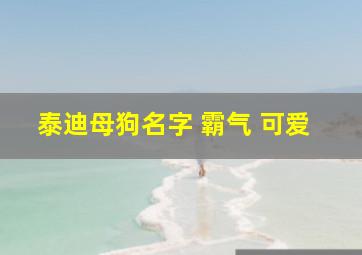 泰迪母狗名字 霸气 可爱